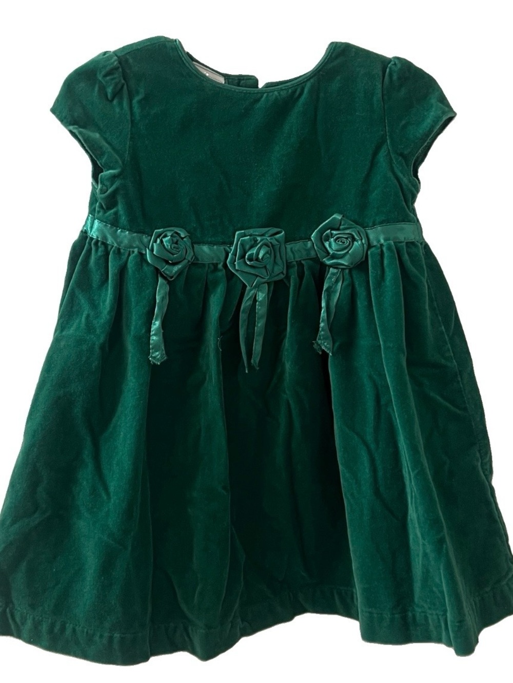 WonderKids Baby Girl Green Roses Velvet Holiday Dress Size 12 months